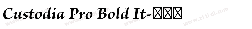 Custodia Pro Bold It字体转换